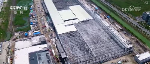 临港新片区五年巨变 “五自由一便利”赋能企业投资加速度